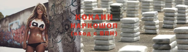 дмт Алексин