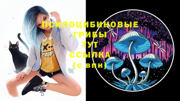 дмт Алексин