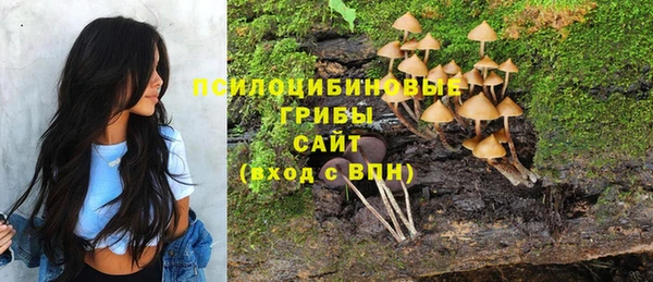 а пвп мука Алексеевка