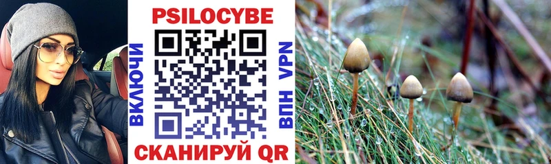 Галлюциногенные грибы GOLDEN TEACHER Кирсанов